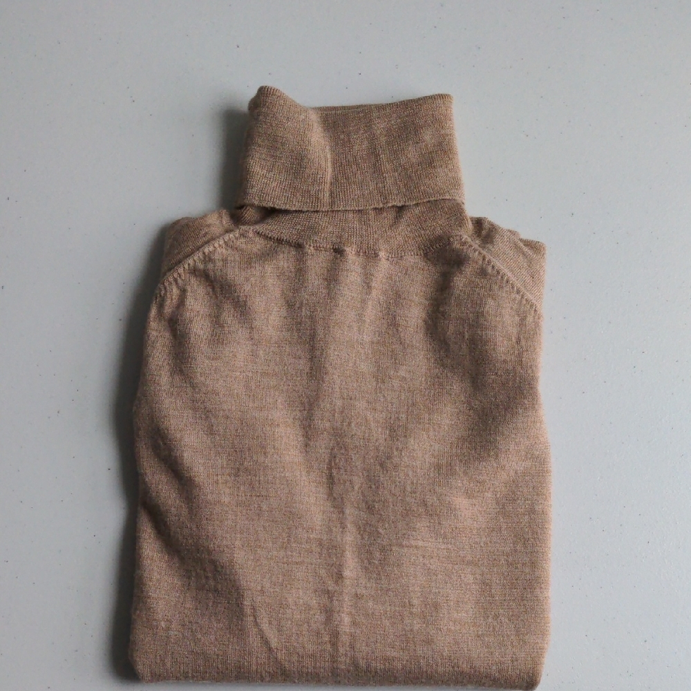 Banana Republic Merino Wool Turtleneck Sweater